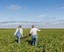 Vooruitgang van de Friese economie gemeten met de Blue Delta Monitor