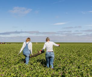 Vooruitgang van de Friese economie gemeten met de Blue Delta Monitor