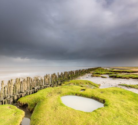 Regiomerk Noordoost Fryslân in de lift dankzij Regio Deal, maar uitdagingen blijven